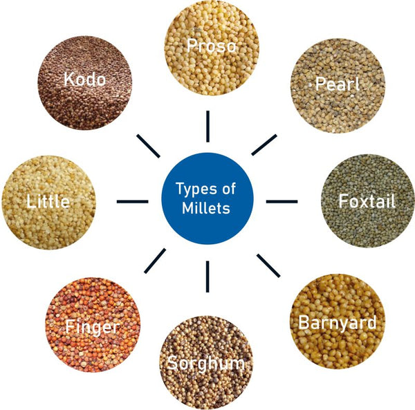 The Complete Guide to Different Types of Millets in India